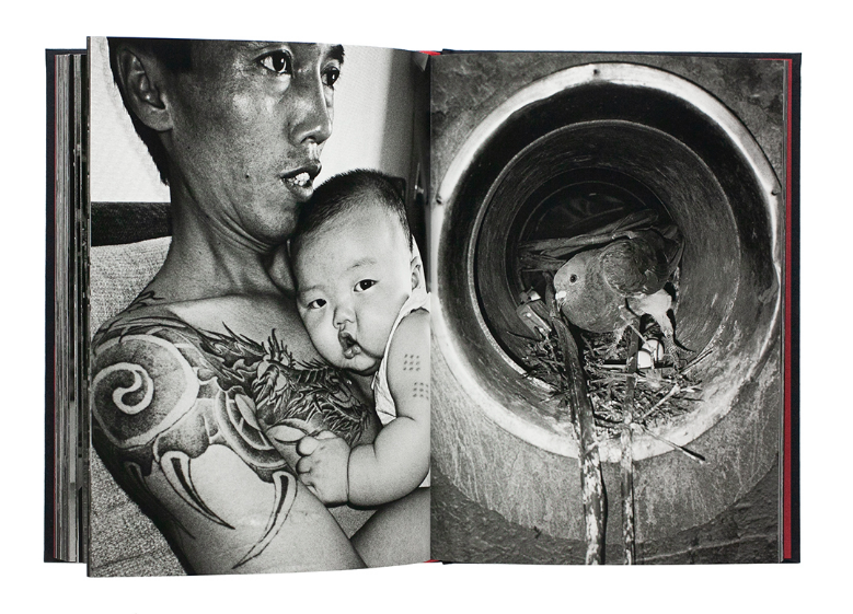 青春吉日（新装版） - 梁丞佑 | ZEN FOTO GALLERY - アジア諸国