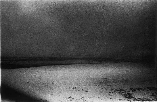 西村多美子「しきしま」 | ZEN FOTO GALLERY - アジア諸国の写真を専門