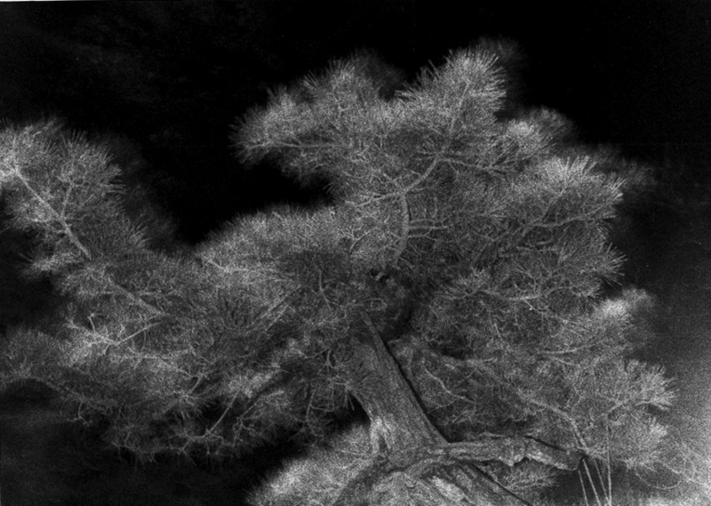 Article｜IN MEMORY: ISSEI SUDA | ZEN FOTO GALLERY - A photography