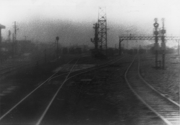 西村多美子「しきしま」 | ZEN FOTO GALLERY - アジア諸国の写真を専門