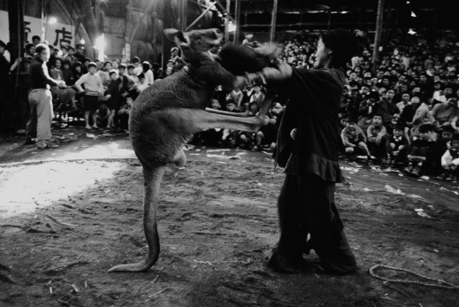 丹野章「昭和曲馬団」 | ZEN FOTO GALLERY - アジア諸国の写真を専門に