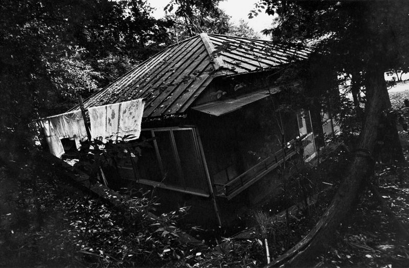 Tamiko Nishimura “My Journey, continued” | ZEN FOTO GALLERY - A