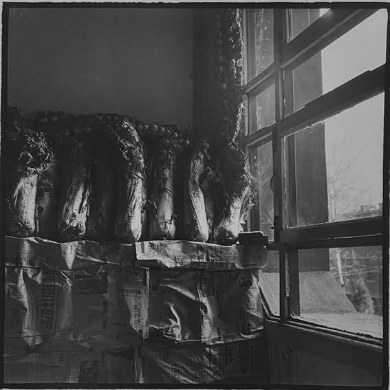 莫毅 写真展「時間的風景」 | ZEN FOTO GALLERY - アジア諸国の写真を