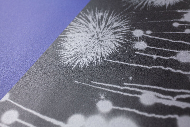 あれから - 西村多美子 | ZEN FOTO GALLERY - アジア諸国の写真を専門