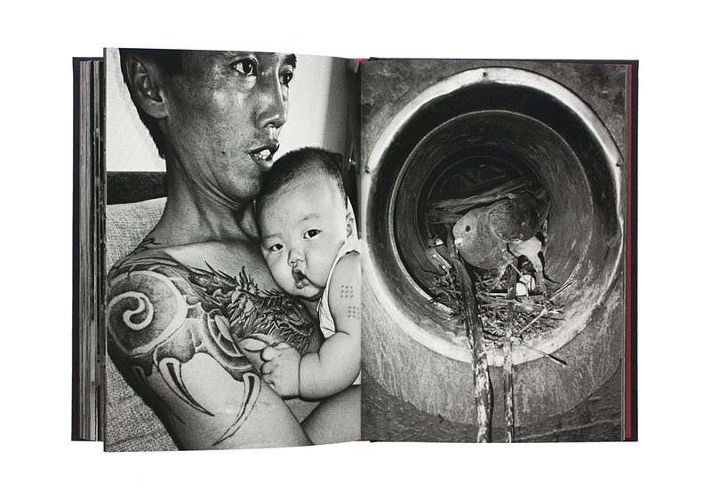 青春吉日（新装版）Special Edition (B) - 梁丞佑 | ZEN FOTO