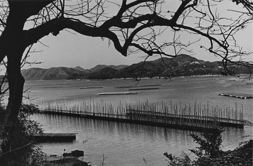 Atsushi Fujiwara, from the series of 'Poet Island'