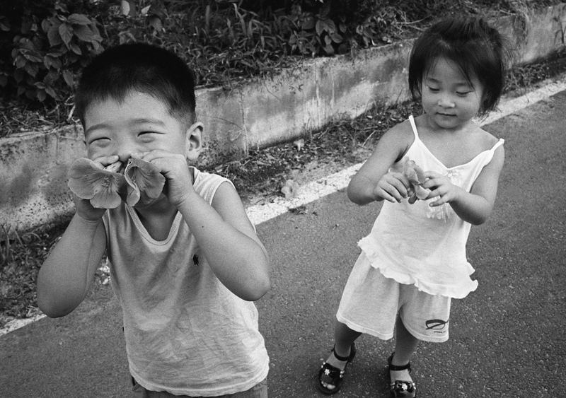 梁丞佑「青春吉日」 | ZEN FOTO GALLERY - アジア諸国の写真を専門に