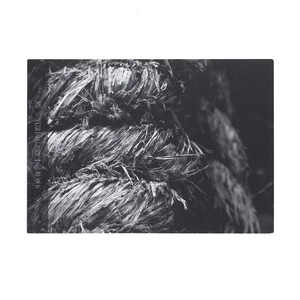 Publications - Online Shop | ZEN FOTO GALLERY - A