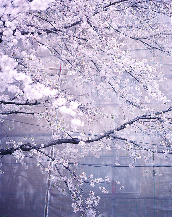 Kazuyoshi Usui 