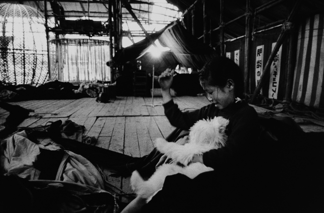 丹野章「昭和曲馬団」 | ZEN FOTO GALLERY - アジア諸国の写真を専門に