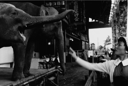 Akira Tanno "Circus of Showa Japan 1956-1957"